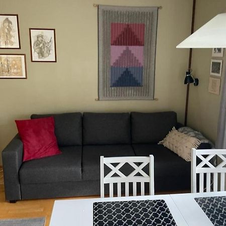 סאריסלקה Aslak Apartment מראה חיצוני תמונה