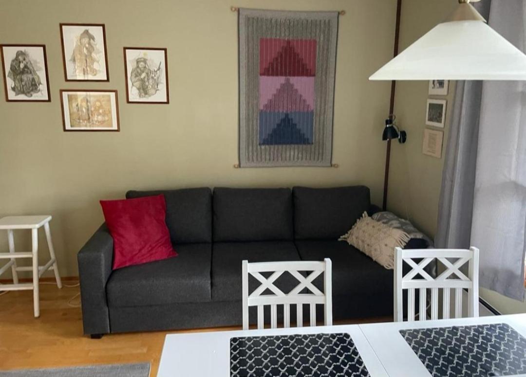 סאריסלקה Aslak Apartment מראה חיצוני תמונה
